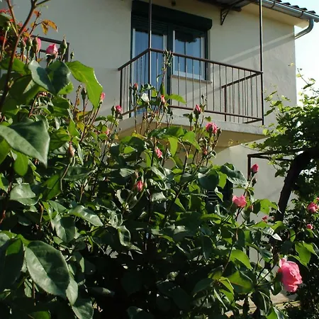 House Mare Malinska