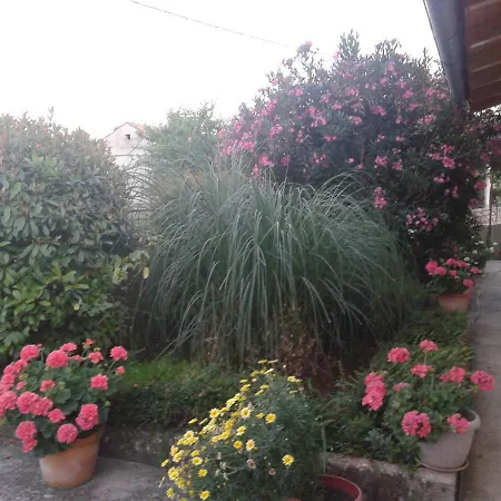 Villa House Mare *